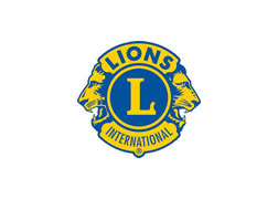 section-icon